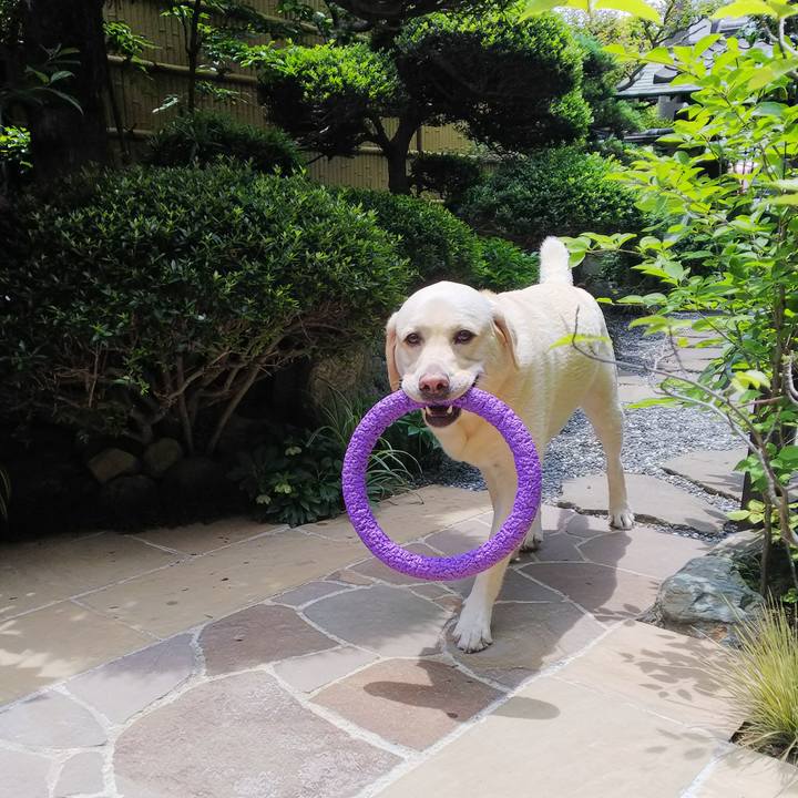 A79364db 545e 4c09 98fe 8d8bc4f65e19 1560569996711