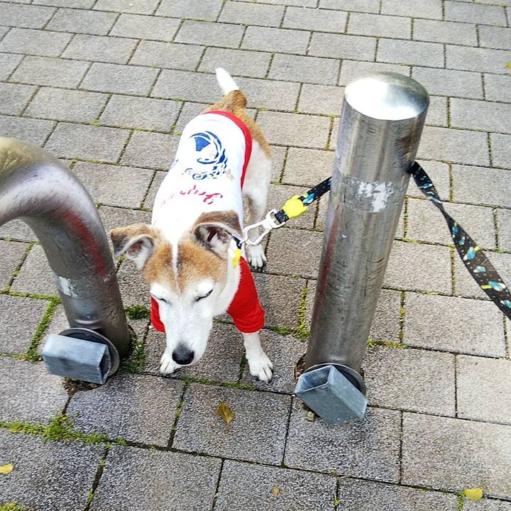 A79366be bed7 429e 96aa 9b963fed03e3 1586940489480