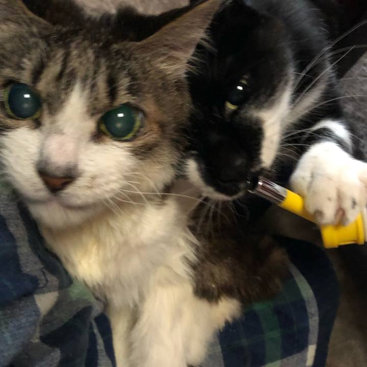 A79382c5 2949 448c a7d1 b6d2f519816e 1582331303902