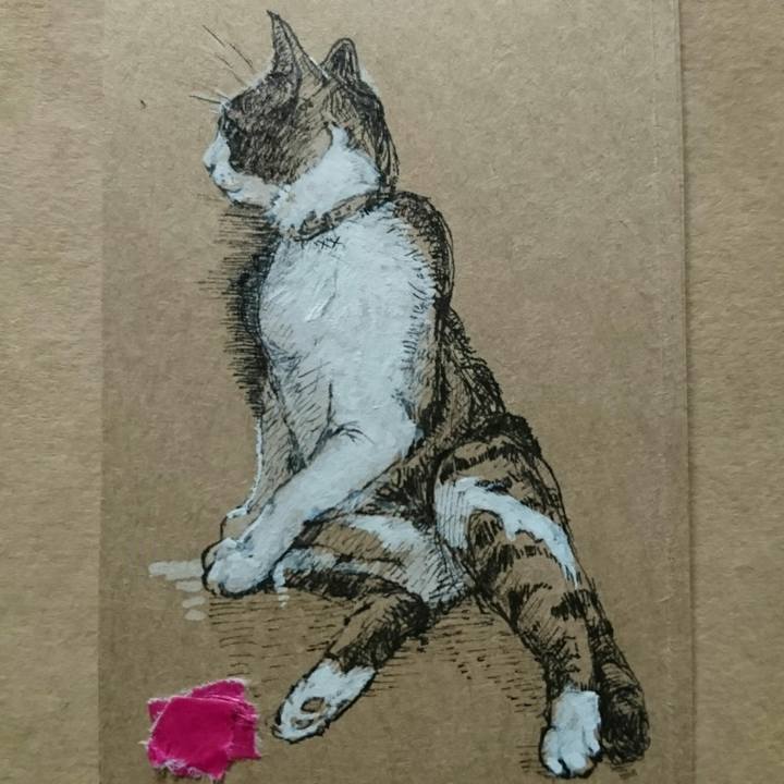 A7938de6 657a 4212 91d6 b53d8139bc6f 1521197996716