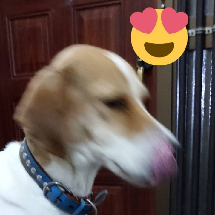 A7938dea 26ab 4117 832d cc33925b9e2c 1608465040815