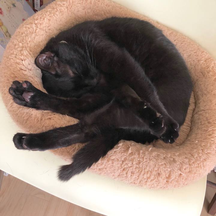 A7939b04 2fd5 49d6 98b4 e7703fb316e5 1588482442200