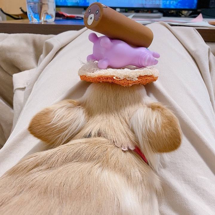 A7939f30 a7c9 4b4f a3b1 e01a36b24601 1619228545855