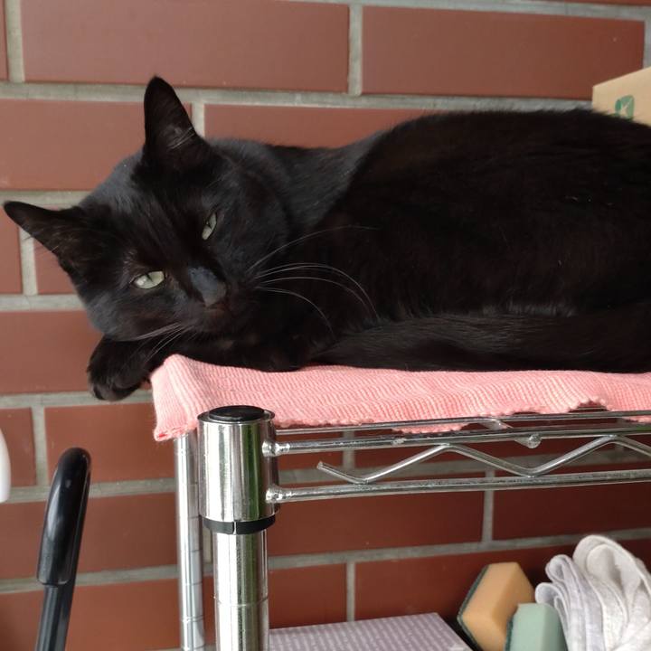 A793bc61 e8cb 46ee b90e 4a06bb337239 1683266531655