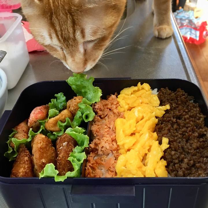 A793c6d6 da1b 4555 ae1c acfdff7edba4 1525905508793