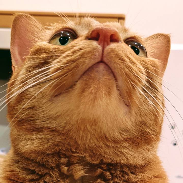 A79423fa 0bcc 401c 86bf 81230a84f3e3 1625540846263