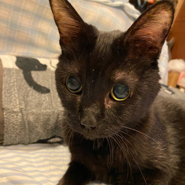 A7942f6c 85a6 4a5f 8cb4 e9262f98db79 1697283062581