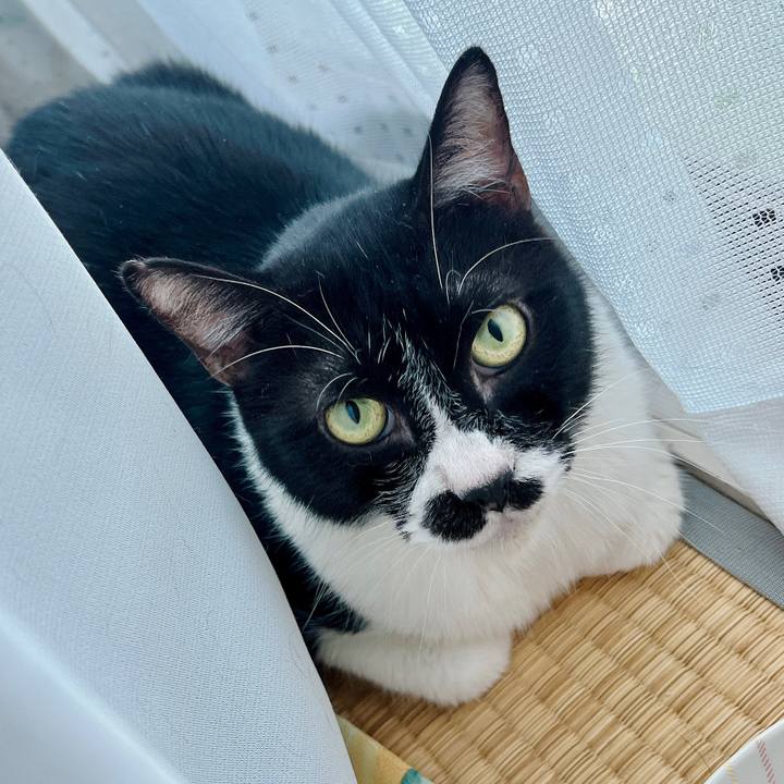 A794649f 1e47 4377 873d bad557d162ed 1659133871354