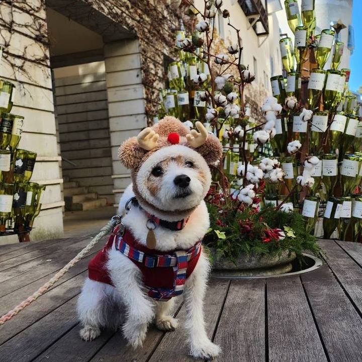 A7952013 f63f 45d9 84b3 3d0b7bb97902 1765109569723