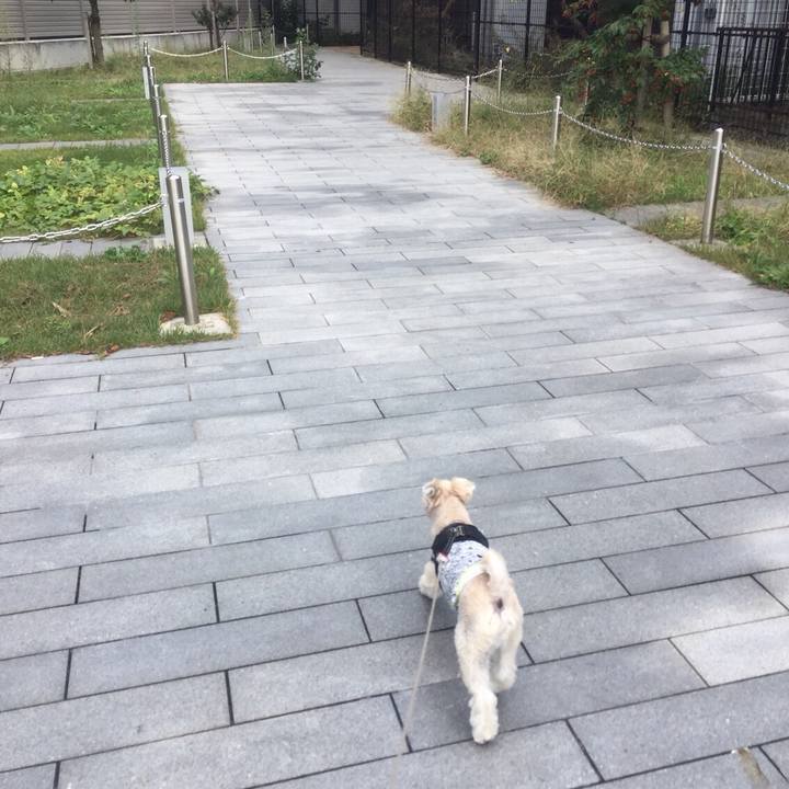 A795256b 6b5a 4282 b2dc dd866d96865e 1541670894177