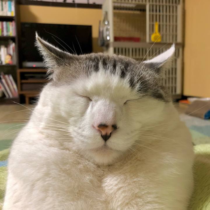 A7956fbb db90 41a5 9f7d d51254d973d0 1609230660520