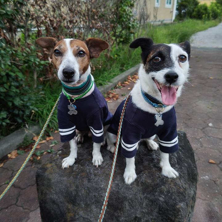 A7959fd1 b8d5 4a85 9230 f3cc9daa2f9a 1723721090741