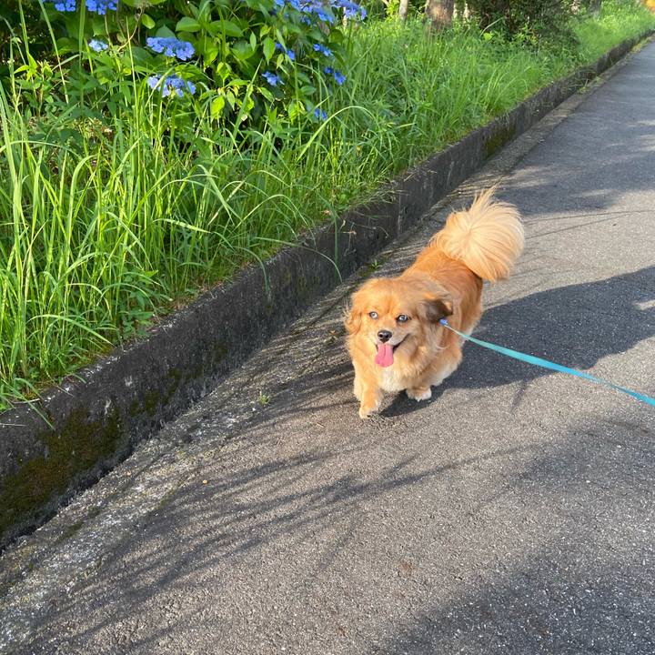 A795bc04 978e 497a bc96 0a2118e3f1b8 1593208886458