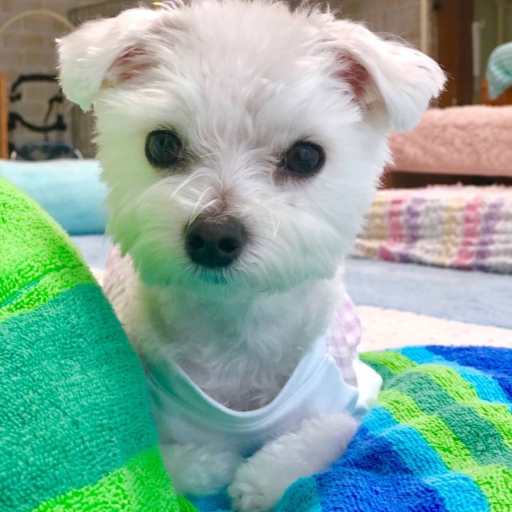 A795d23f 46db 4079 9e56 4f2ac83fad0a 1559270903731