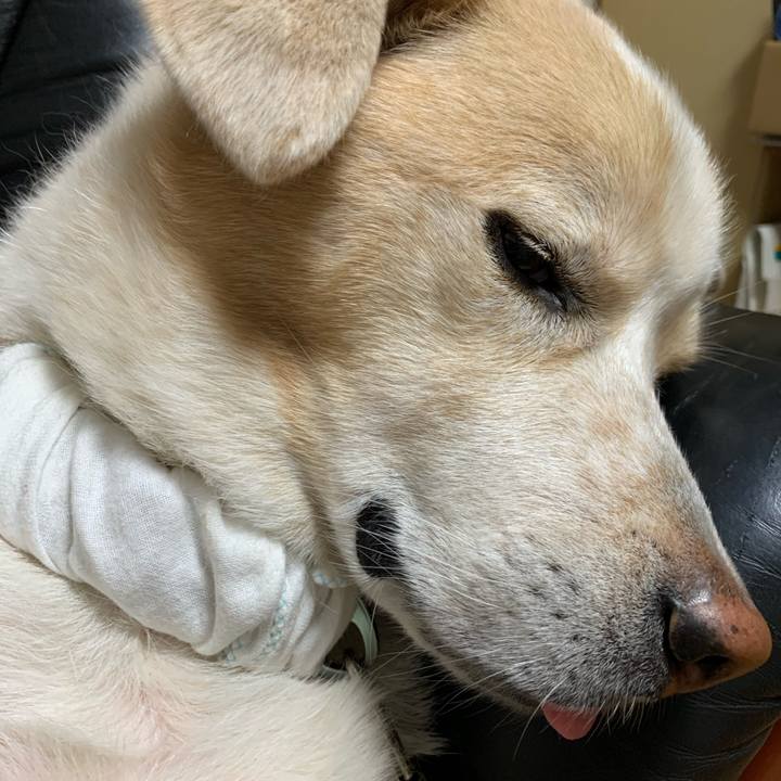 A795d814 471e 4d22 9e7c e77afeca254d 1607178414871