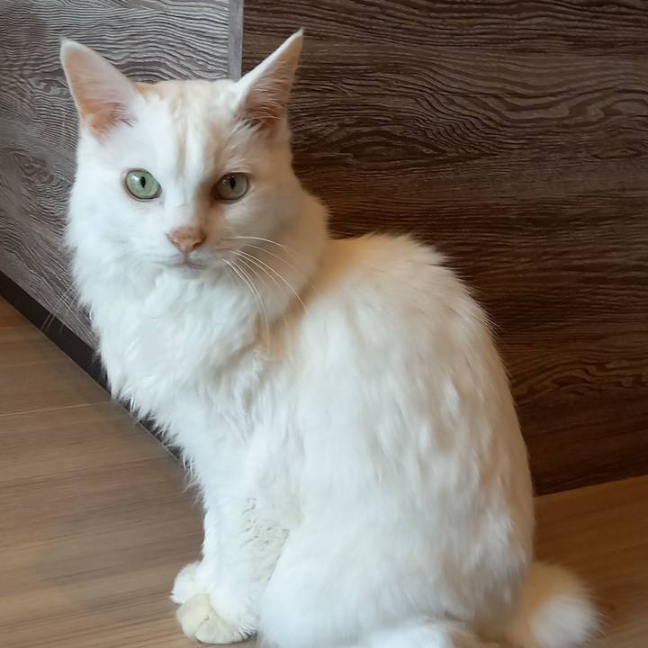 A795d8a9 8945 4760 8c49 651692724073 1651180584328