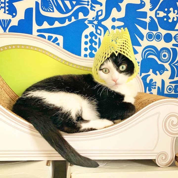 A795e919 a092 4a97 abd4 5d4c40cfc384 1563836613067