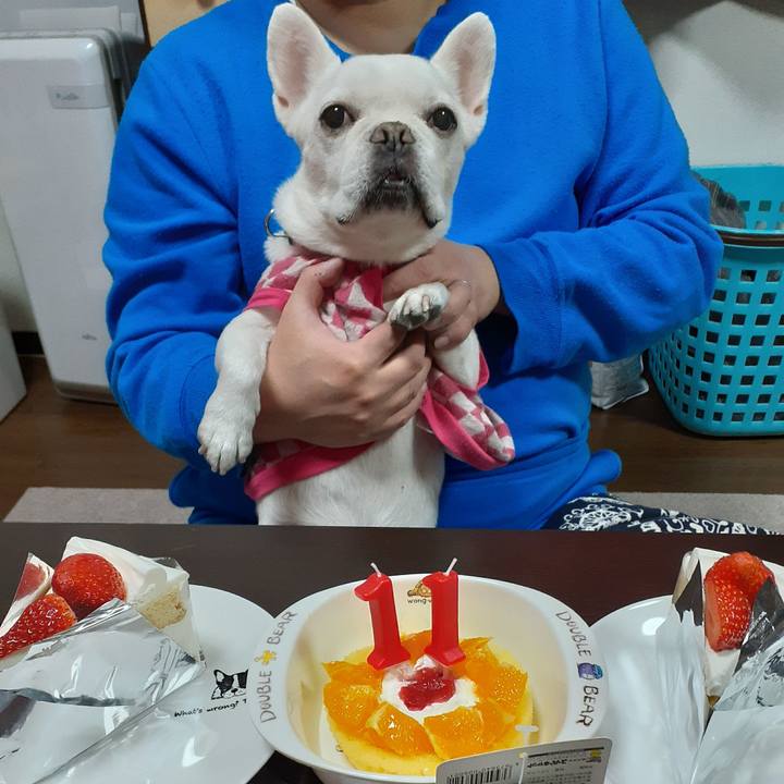 A79615fb 6e7e 4171 9651 cbcb20408f90 1710064430956