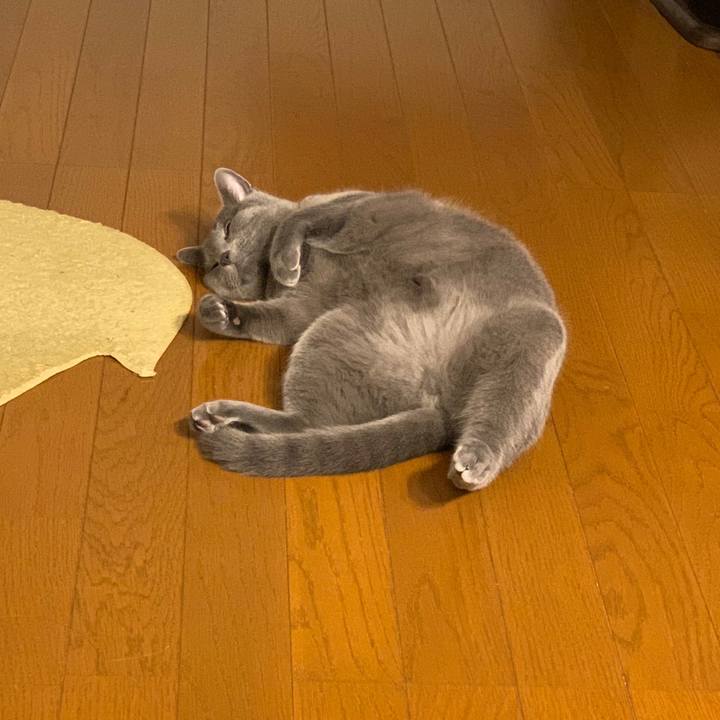 A796235c 4e31 497f 916a 7928b72989aa 1584676321436