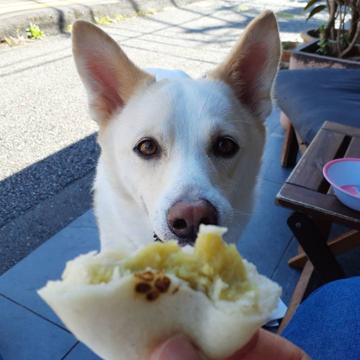 A796243a 9b6a 4305 9127 a53b1ce1f9cd 1664596657257