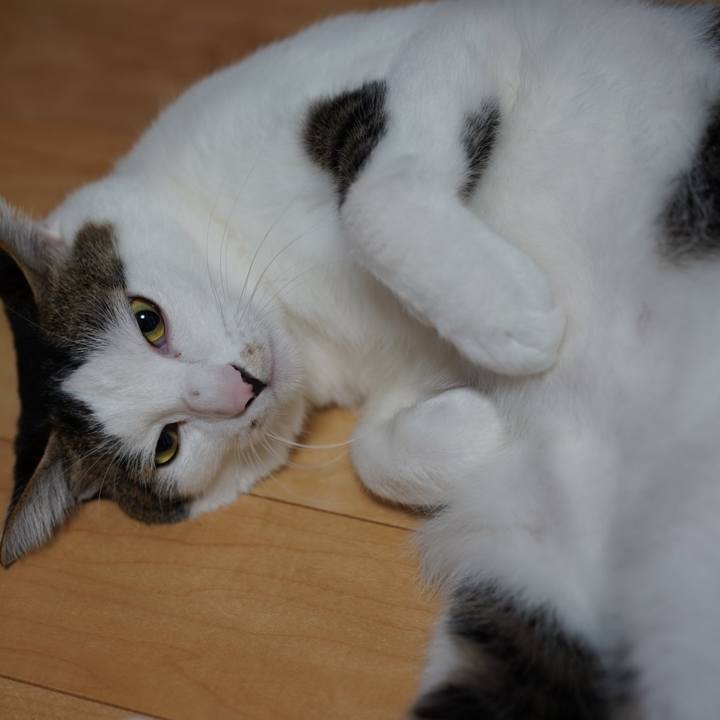 A79626bd 320d 41f3 9b90 13f7c3c117ac 1574671861986