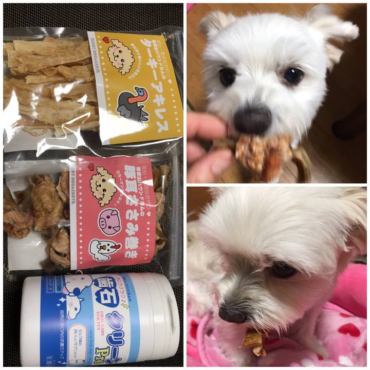 A7962d2e 9d12 4191 96ed e53470d993d5 1545814195624