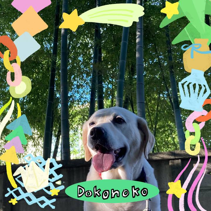 A79632a8 4258 4066 9f39 e6f4c65a2193 1755485680412