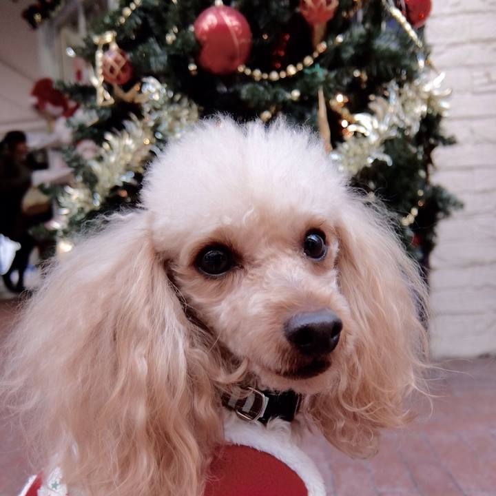 A79643ec ffbc 411e a902 5dade03c78e2 1514062583470