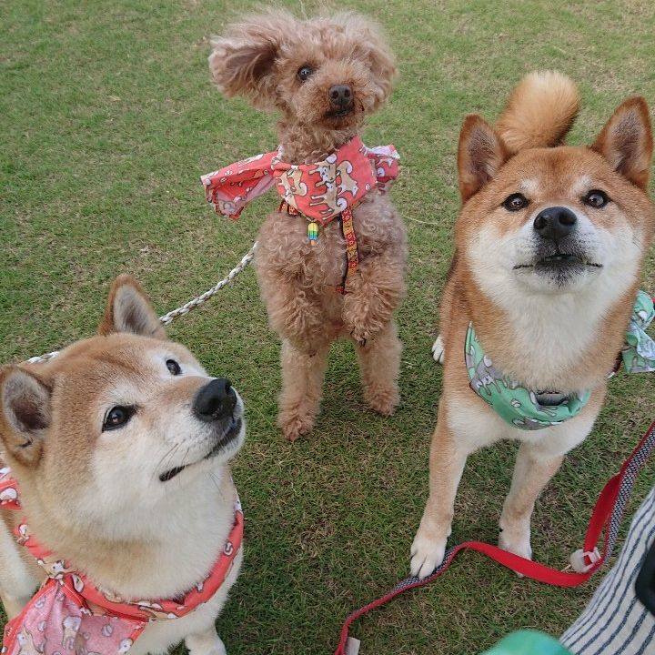 A796460d e8e0 4748 accc 2213bebeffd1 1591789512863