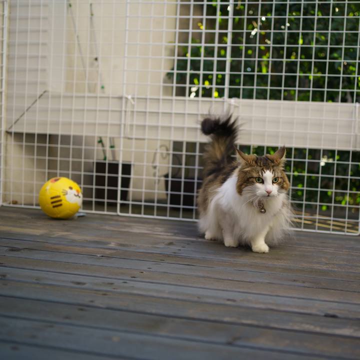 A7964936 9bca 46f7 a82e 0e0b74c80f3d 1672488698549