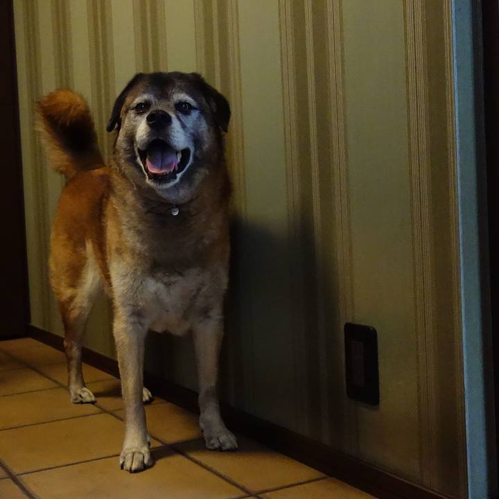 A7969b34 269f 44df be7d 0919f35dbb18 1641691866351