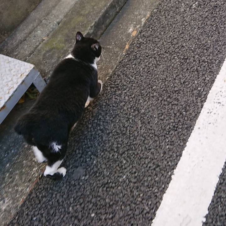 A796b354 ceb1 47be bebf d7ad33546bd4 1577613459533