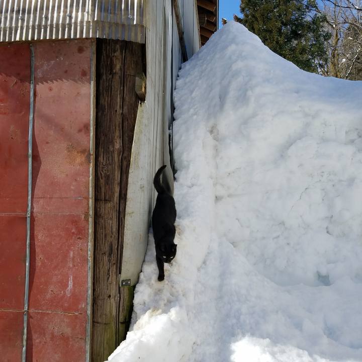 A796d030 a5fc 4c8a 9d3b b951f7afbd22 1519269965511