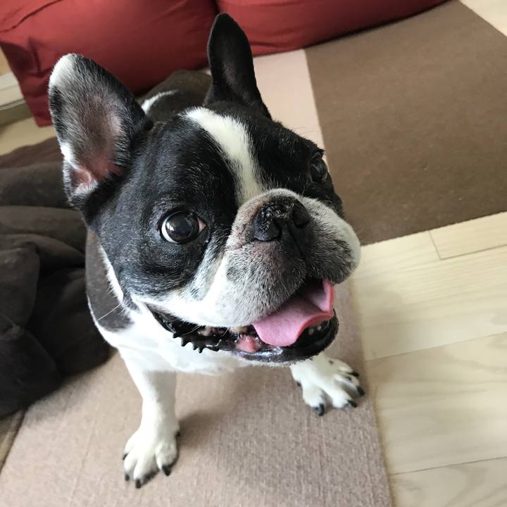 A796f6b8 75c6 4446 9efd f19781101e1e 1534132243621