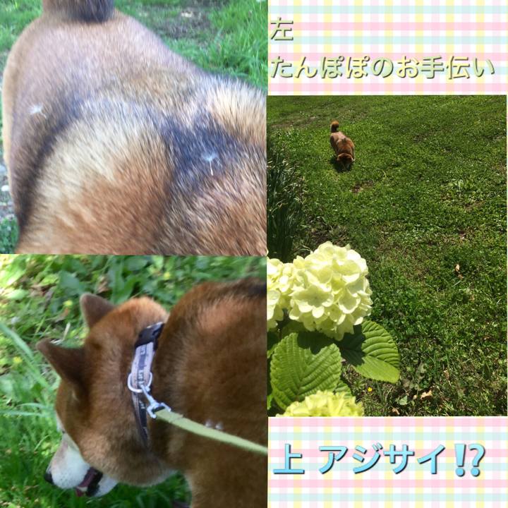 A7971aa1 84a2 45a0 b597 8b778efb75d0 1618899753402