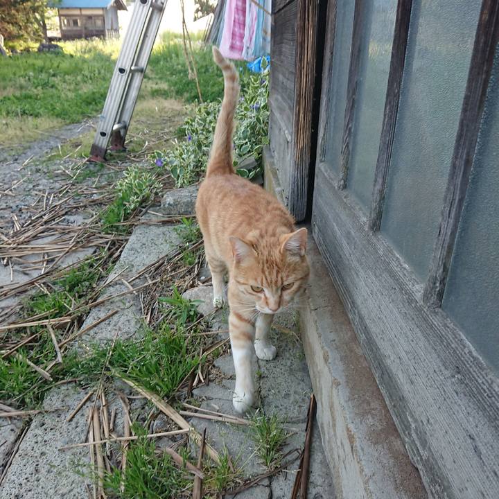 A79735d4 e5cf 4a55 b6b7 6b7da9a5f8ba 1589446251731