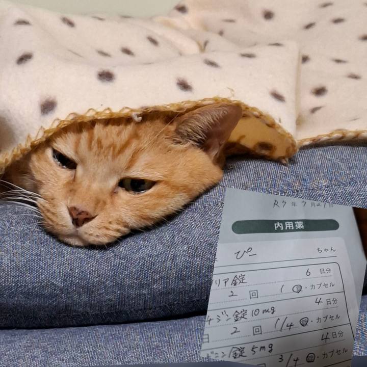 A7975f7a 0a60 45ef 8785 f85667cdd32f 1753744483214