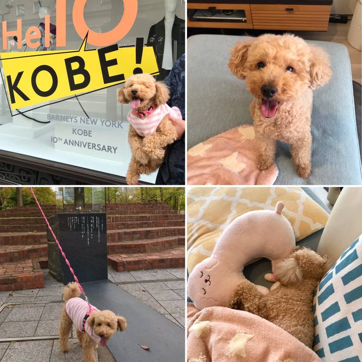 A797767a 5133 4c62 a2eb 6d316d75c509 1587286418780