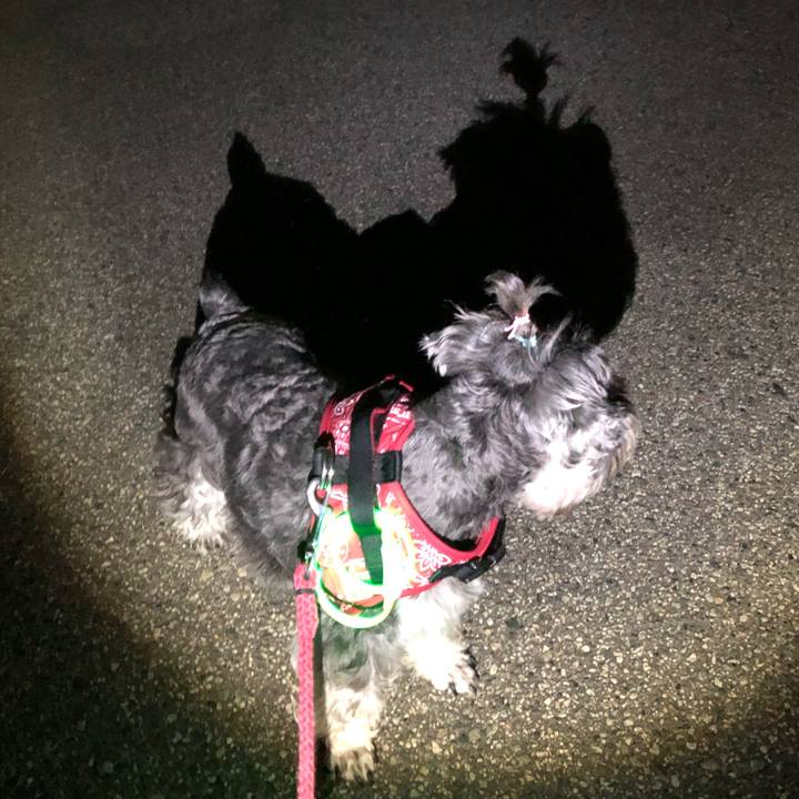 A7979312 263e 4427 99e3 b4645228dcbf 1565789815266