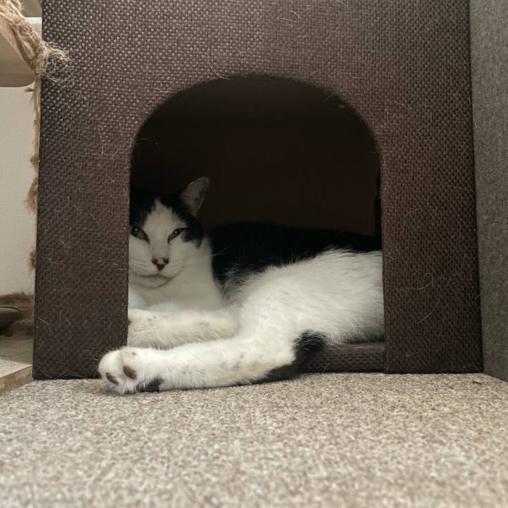 A797ad63 1074 4f2a 808a df9b097bb45a 1723596081453