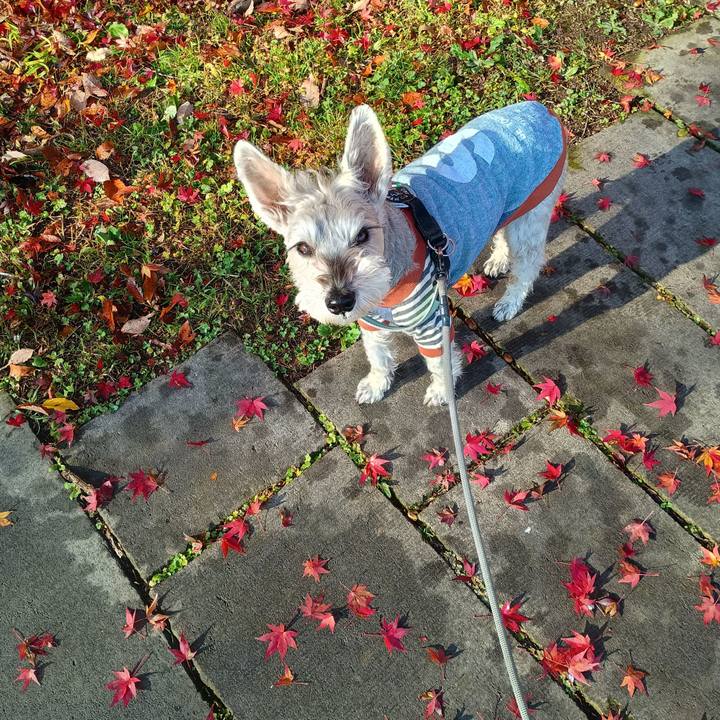 A797b288 297b 42be aab7 8fae10f57504 1764329618243