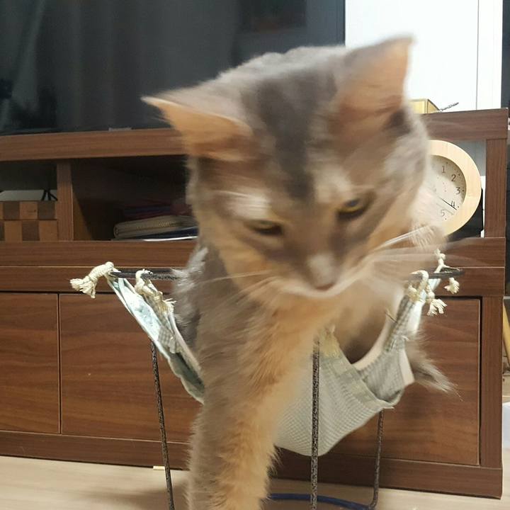 A798094d 6d11 4e78 a22a fb9feac774ff 1571360216864