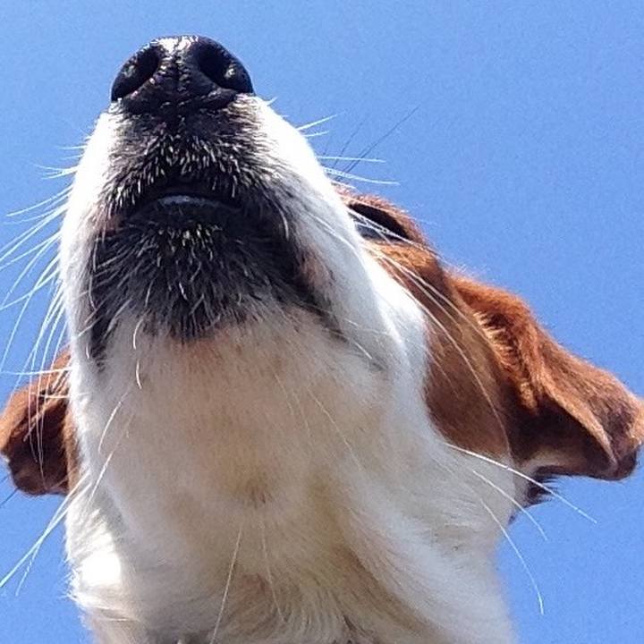 A7982790 d279 4202 9978 a3f027bc8379 1523607680690