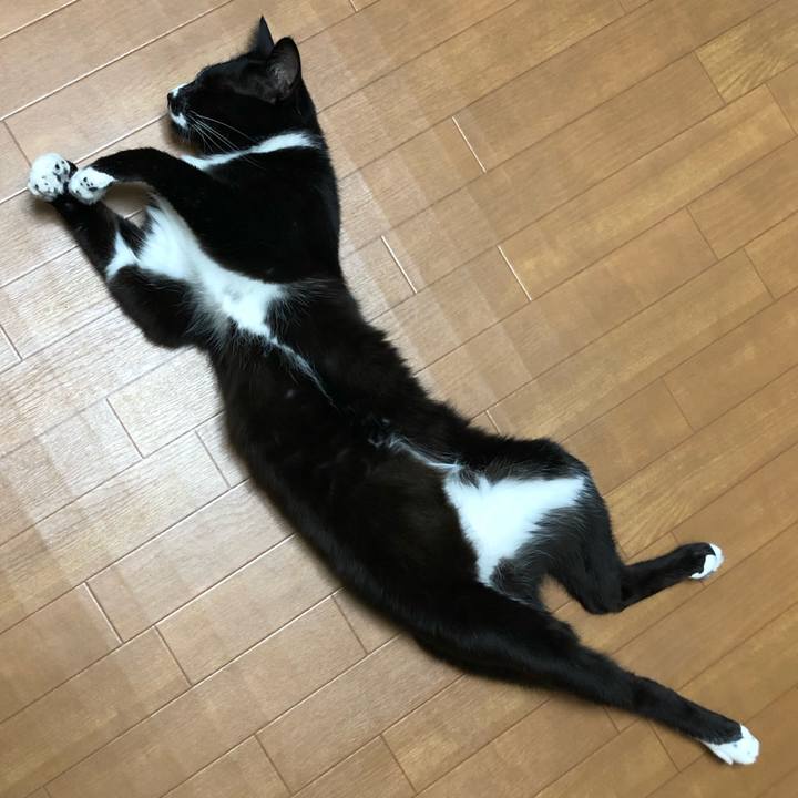 A79842f2 d87a 48bc b970 c86fc3f904aa 1565680820333