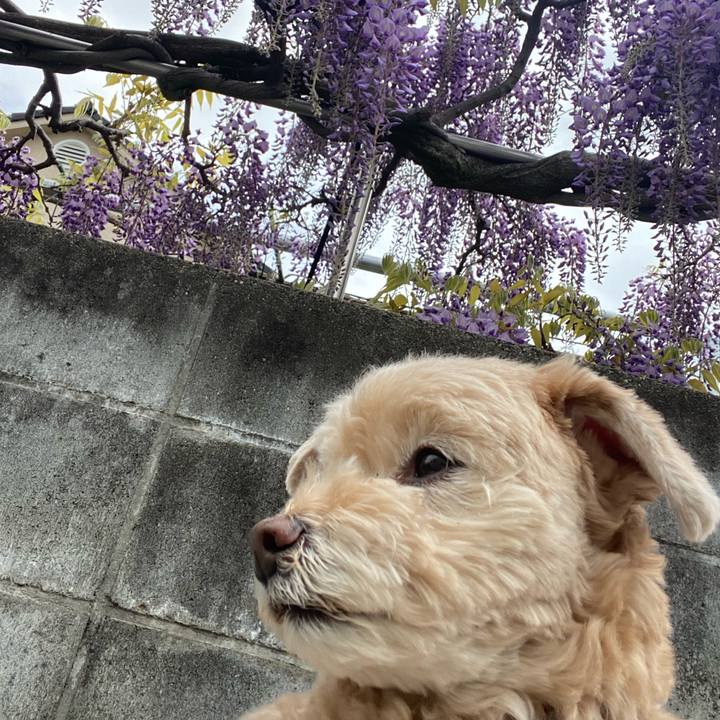 A7986e5b 61d4 4ed9 bd45 662e1b71bf9e 1618283943416