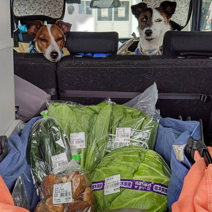 A7986ef2 a443 4128 96b0 7f737b92ba85 1654428052831