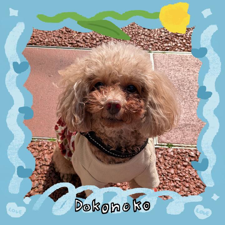 A79870de 57d7 48a2 8109 e35978cc6417 1771816462928