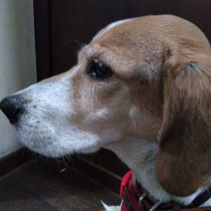 A79880cb df8a 4678 a4c4 a63a0cb379a1 1707817850883