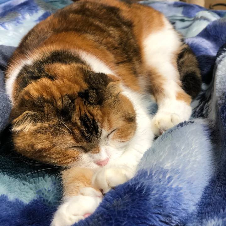 A7988fd7 fc77 4d86 ad7e 00dff6199045 1576931208104