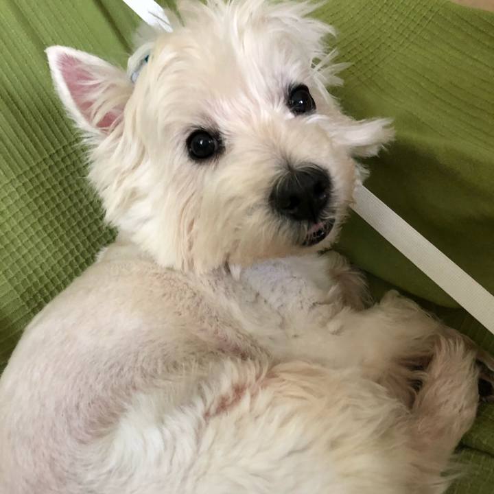 A7989013 6784 4949 b919 2e691f412991 1573828849744